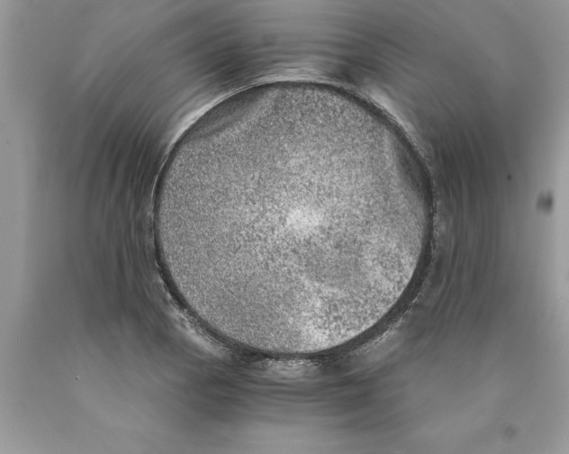 X0000089971129200707271916