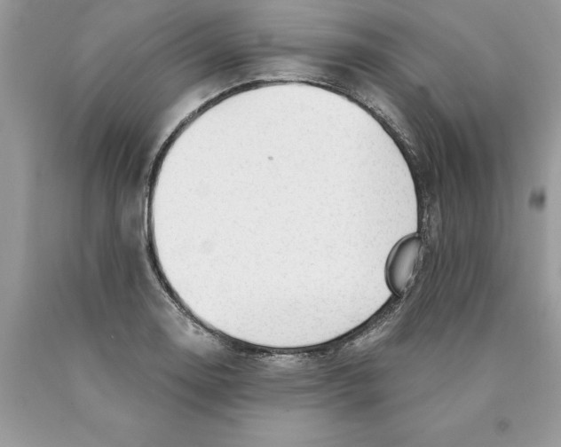 X0000089971130200707271916