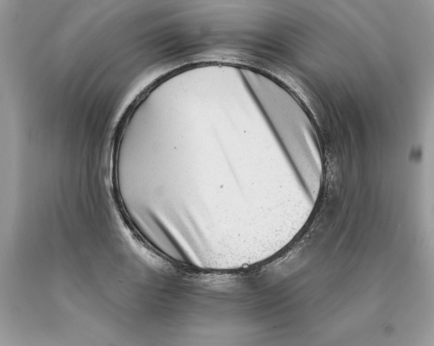 X0000089971131200707271916