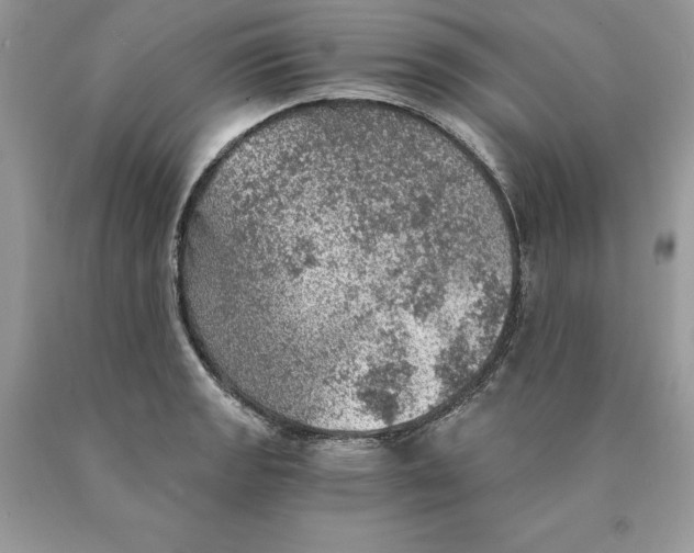 X0000089971133200707271916