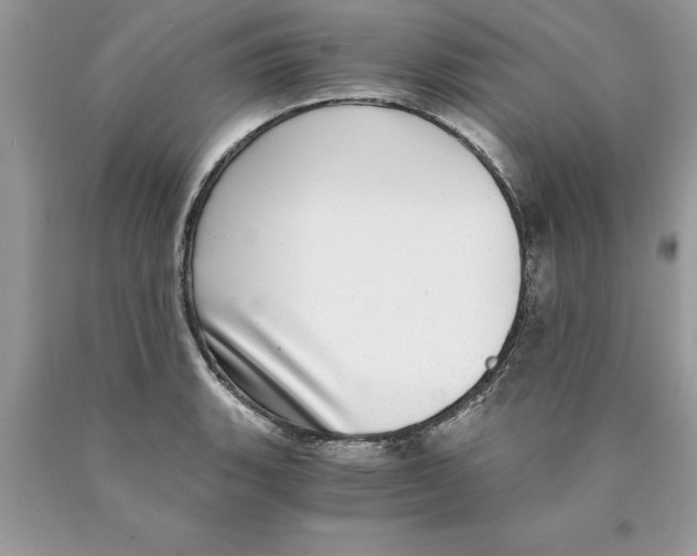 X0000089971135200707271916