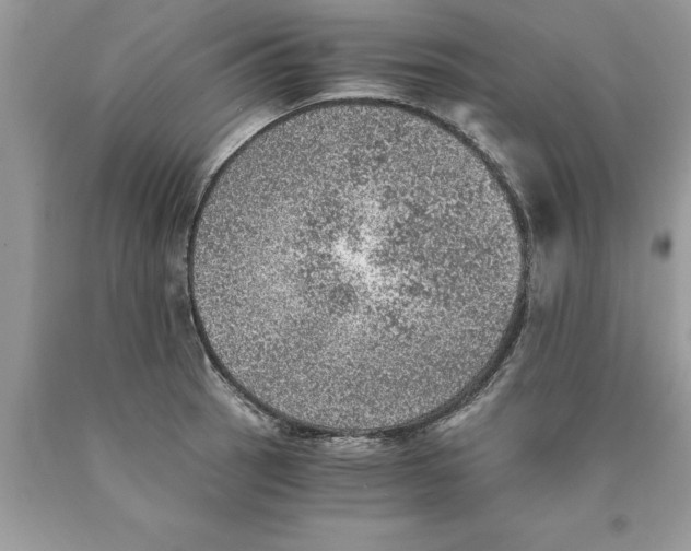 X0000089971137200707271916