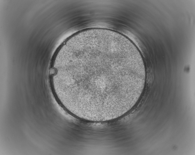 X0000089971139200707271916