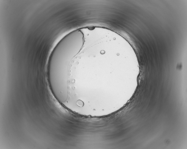 X0000089971140200707271916