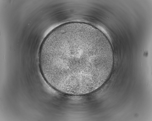 X0000089971141200707271916