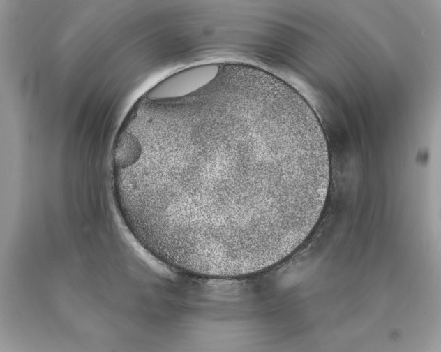 X0000089971142200707271916