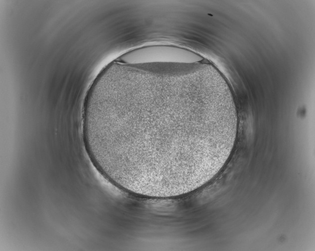 X0000089971143200707271916