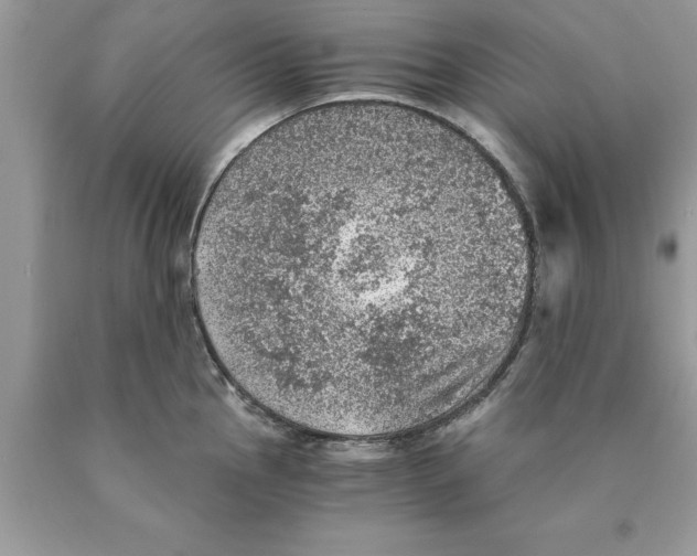 X0000089971145200707271916