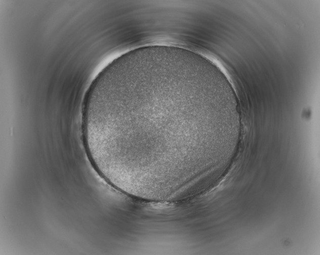 X0000089971147200707271916