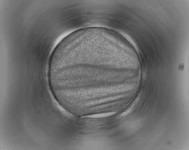 X0000089971149200707271916