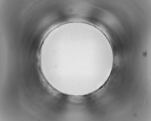 X0000089971150200707271916