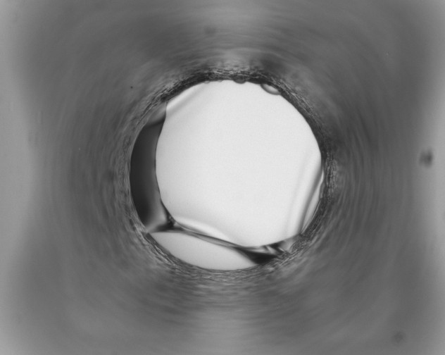 X0000089971153200707271915