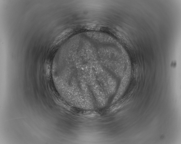 X0000089971154200707271915