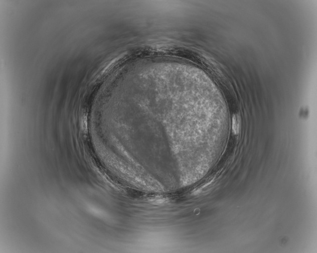 X0000089971155200707271915