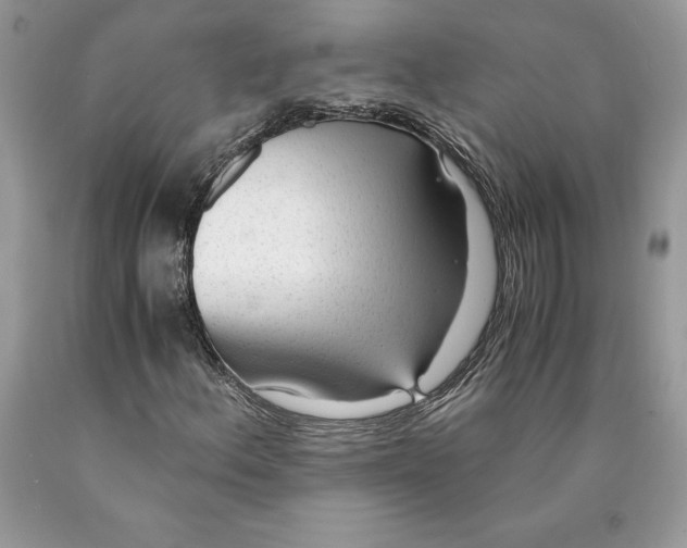 X0000089971156200707271915