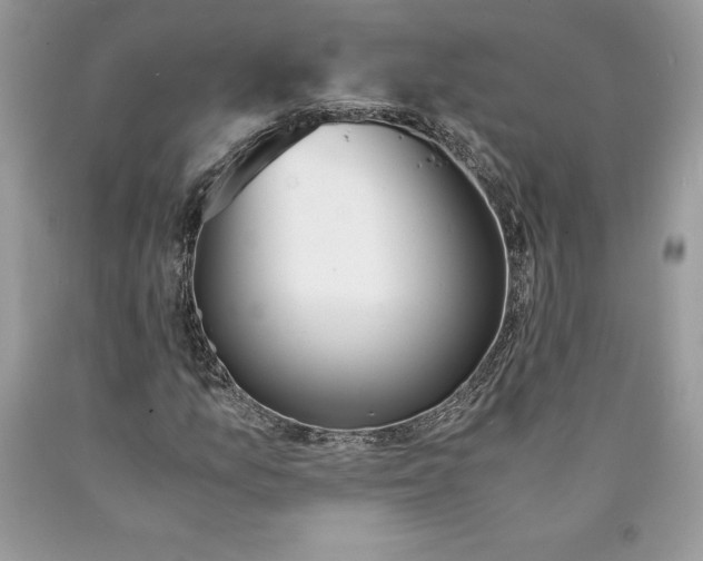 X0000089971157200707271915