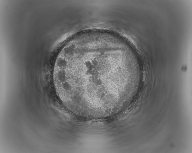 X0000089971159200707271915