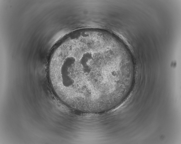 X0000089971163200707271915