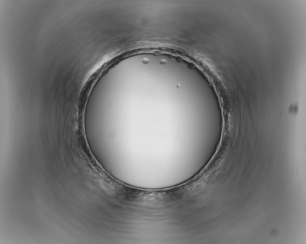 X0000089971165200707271915