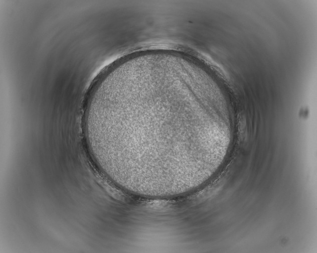 X0000089971166200707271915