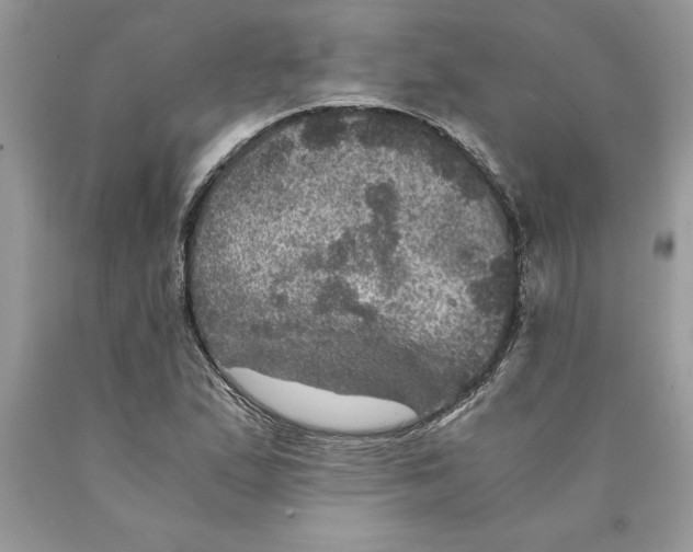 X0000089971167200707271915