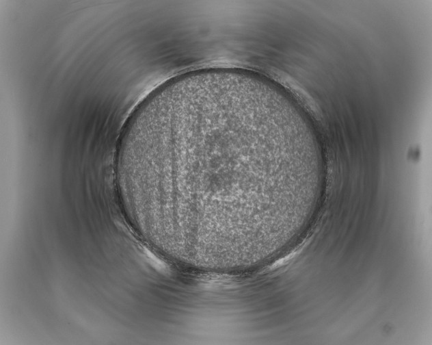 X0000089971170200707271915