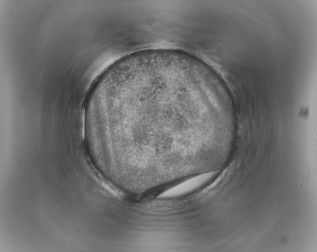 X0000089971171200707271915