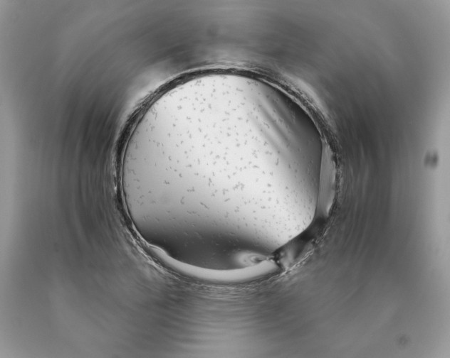 X0000089971172200707271915