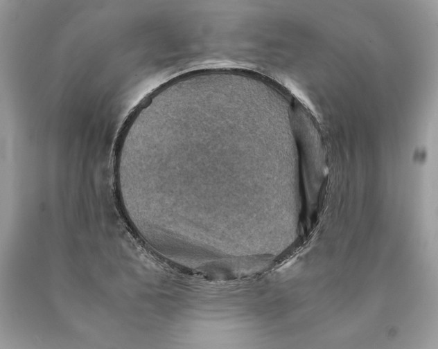 X0000089971173200707271915