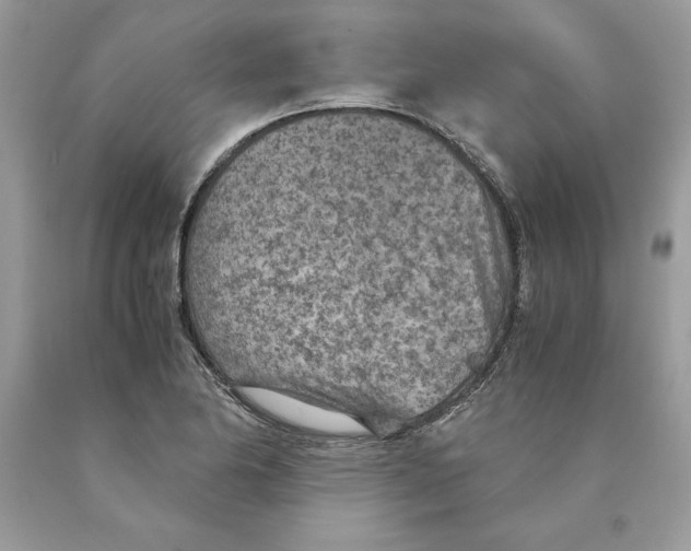 X0000089971174200707271915