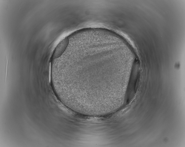 X0000089971175200707271915