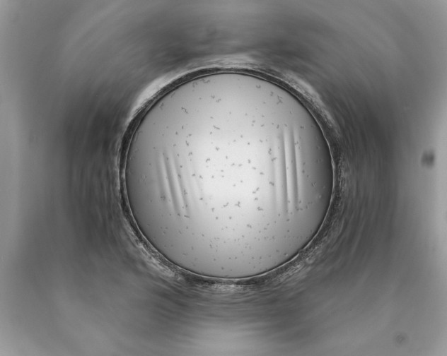 X0000089971176200707271915