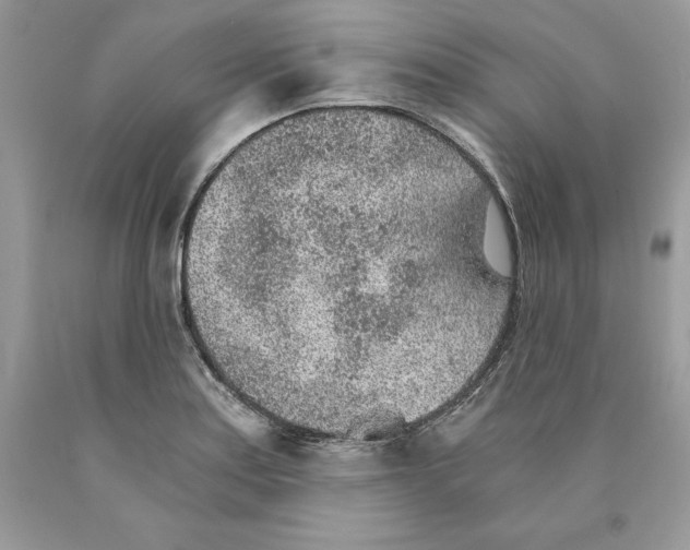 X0000089971179200707271915