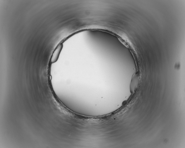 X0000089971181200707271915