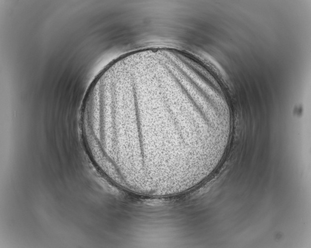 X0000089971182200707271915