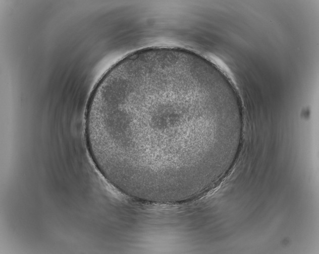 X0000089971183200707271915