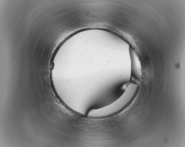 X0000089971184200707271915