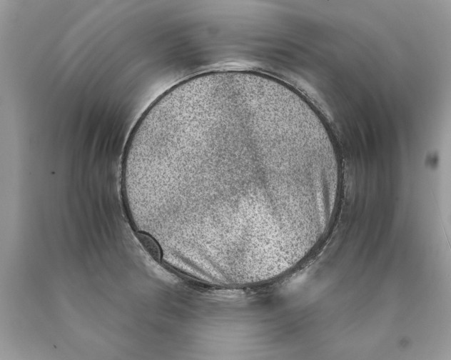 X0000089971186200707271915