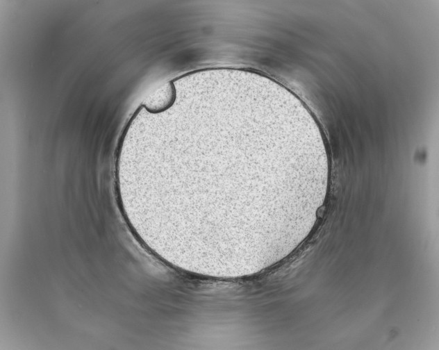 X0000089971187200707271915