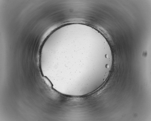 X0000089971188200707271915