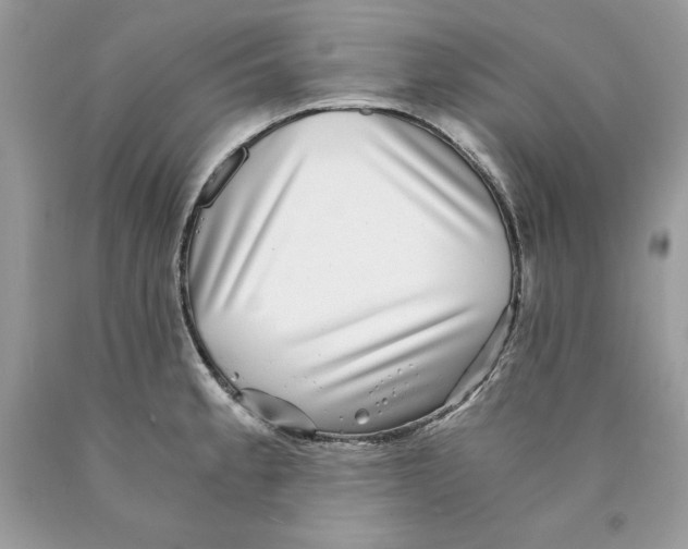 X0000089971189200707271915