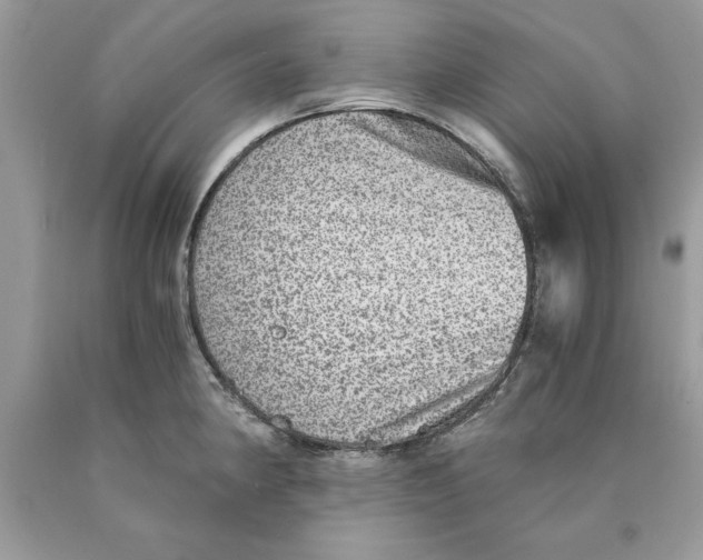 X0000089971190200707271915