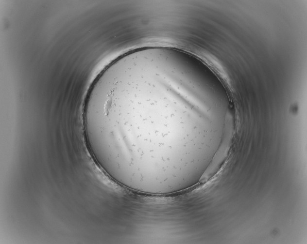 X0000089971192200707271915