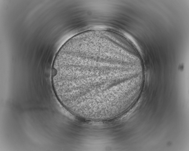 X0000089971194200707271915