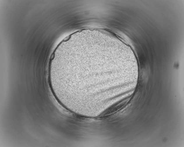 X0000089971195200707271915