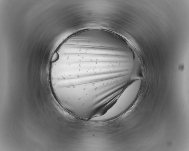 X0000089971196200707271915