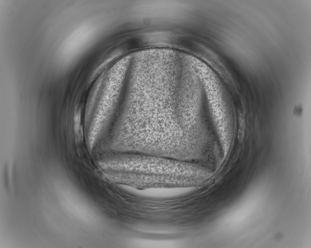 X0000089971198200707271915