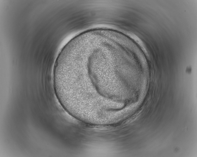 X0000089971199200707271915