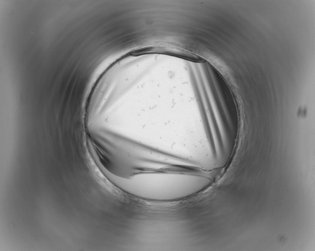 X0000089971200200707271915