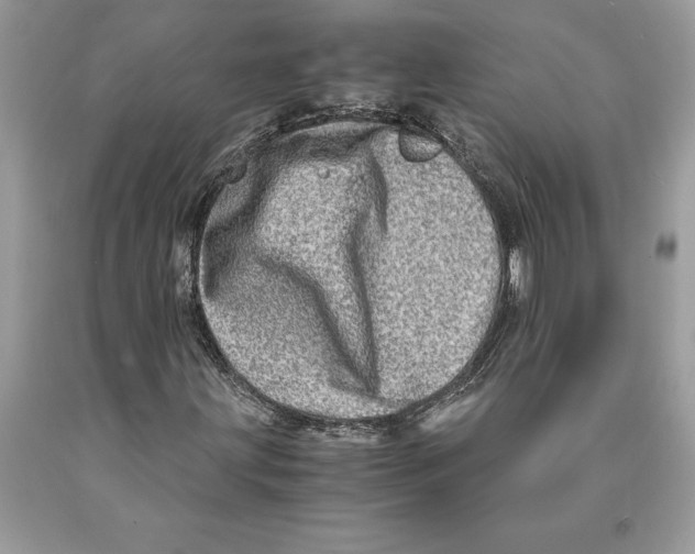 X0000089971203200707271914